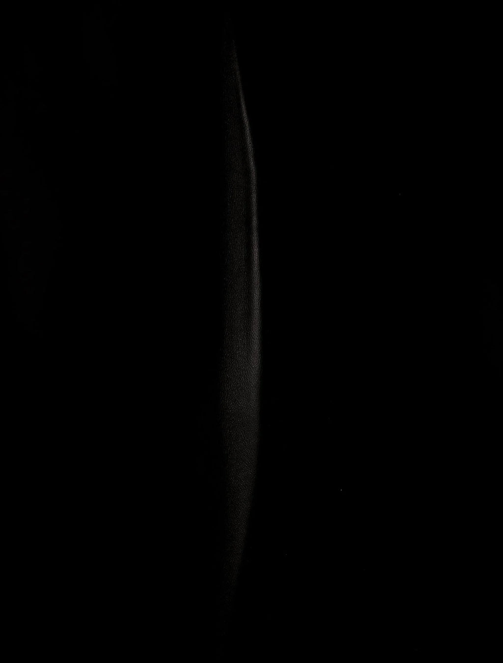 Balenciaga Leather Large Rodeo Charm Bag