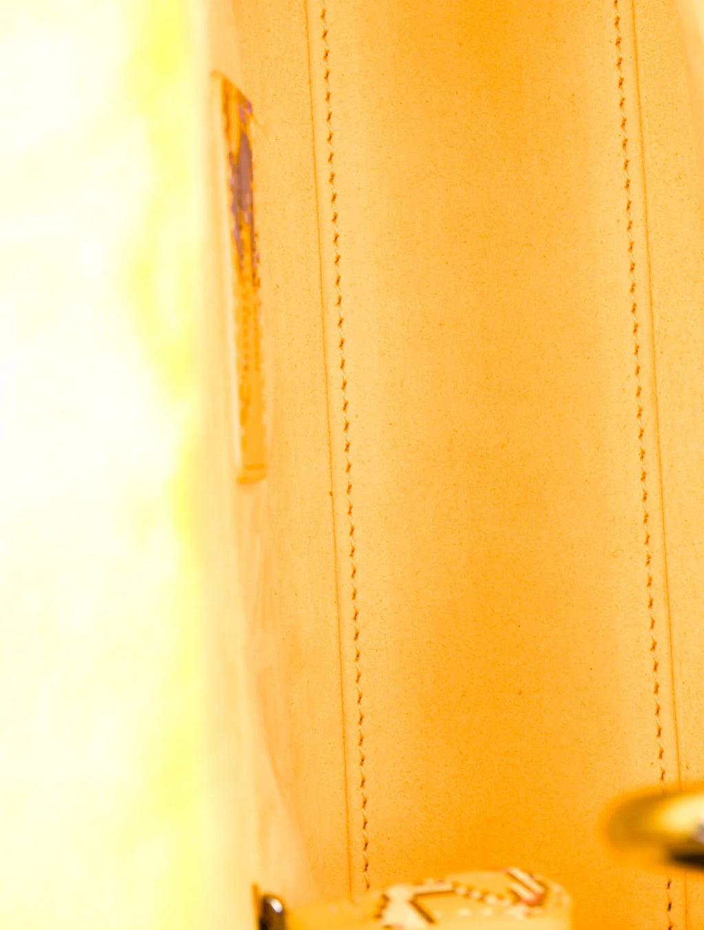 Dior x Pietro Ruffo Lady Dior Bag