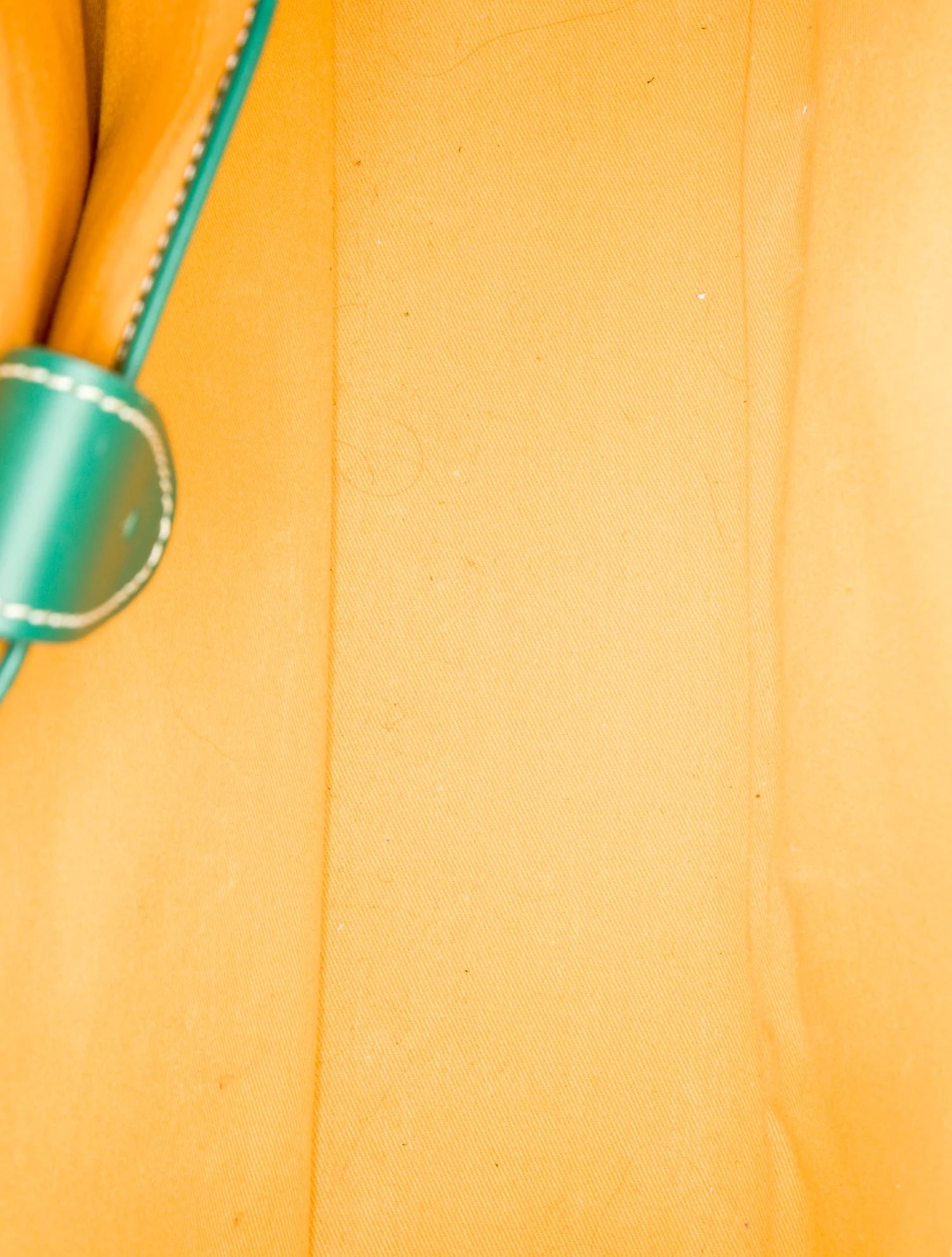 Green Goyard Ambassade MM