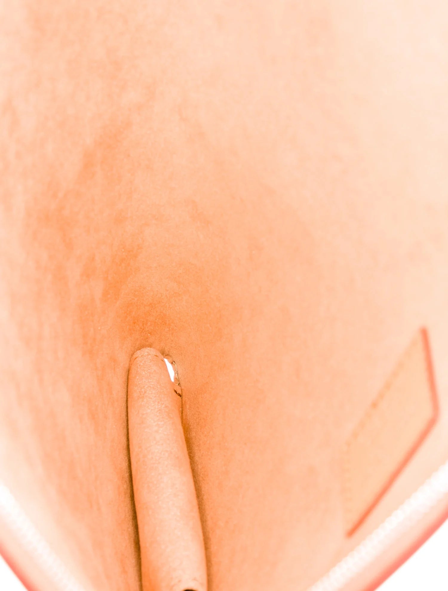 Louis Vuitton Leather Fortune Cookie Hobo Bag